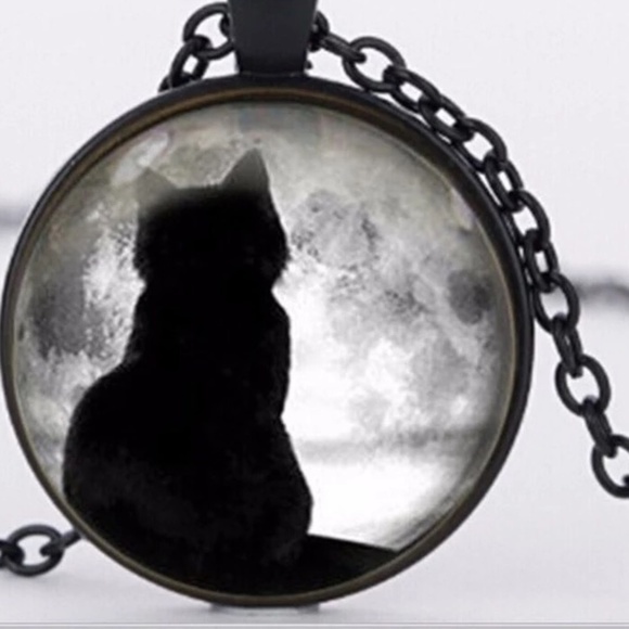 Jewelry - Necklace- New- Black Cat Pendant and Chain